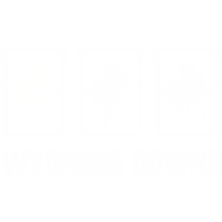 Logo Wyoming Downs